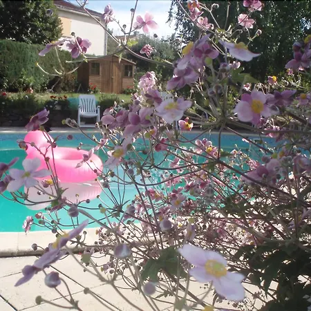 Bed & Breakfast Au Soleil D'albi 2*