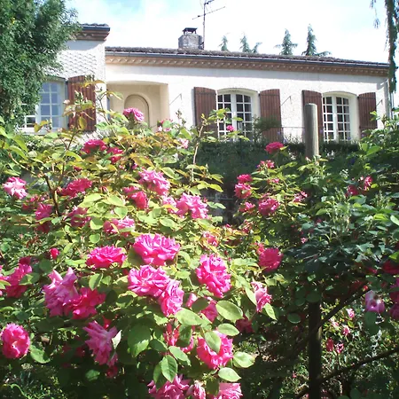 Au Soleil D'albi Lescure-dʼAlbigeois