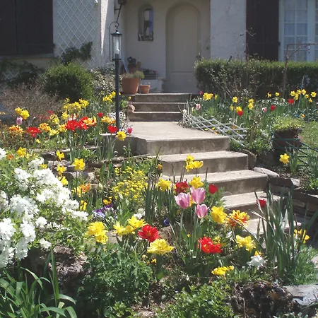 Au Soleil D'albi Bed & Breakfast