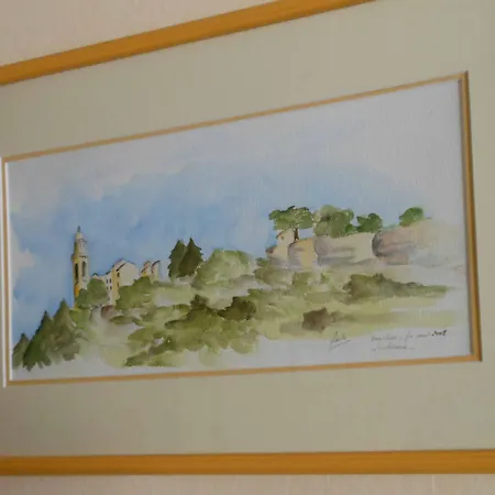 Au Soleil D'albi Bed & Breakfast