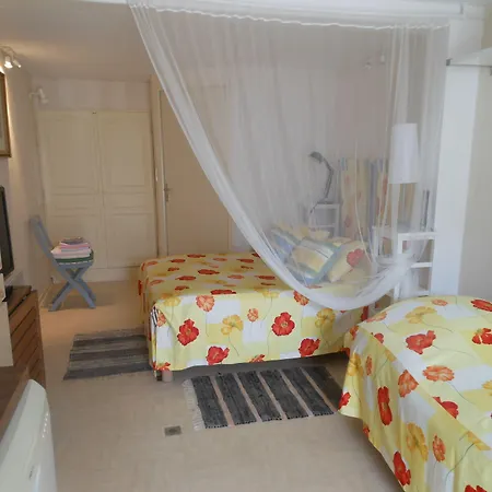 Au Soleil D'albi Bed & Breakfast 2*