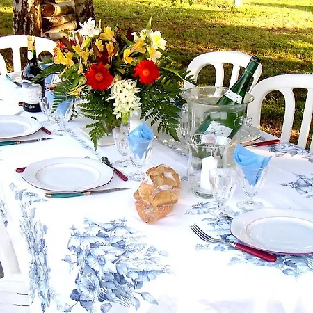 Au Soleil D'albi Bed & Breakfast
