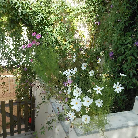 Au Soleil D'albi Bed & Breakfast Lescure-dʼAlbigeois