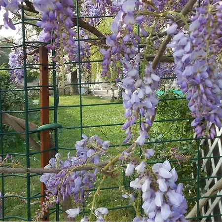 Au Soleil D'albi Bed & Breakfast