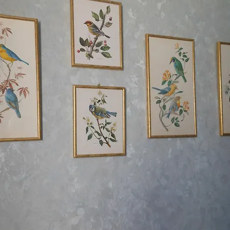 Au Soleil D'albi Bed & Breakfast 2*